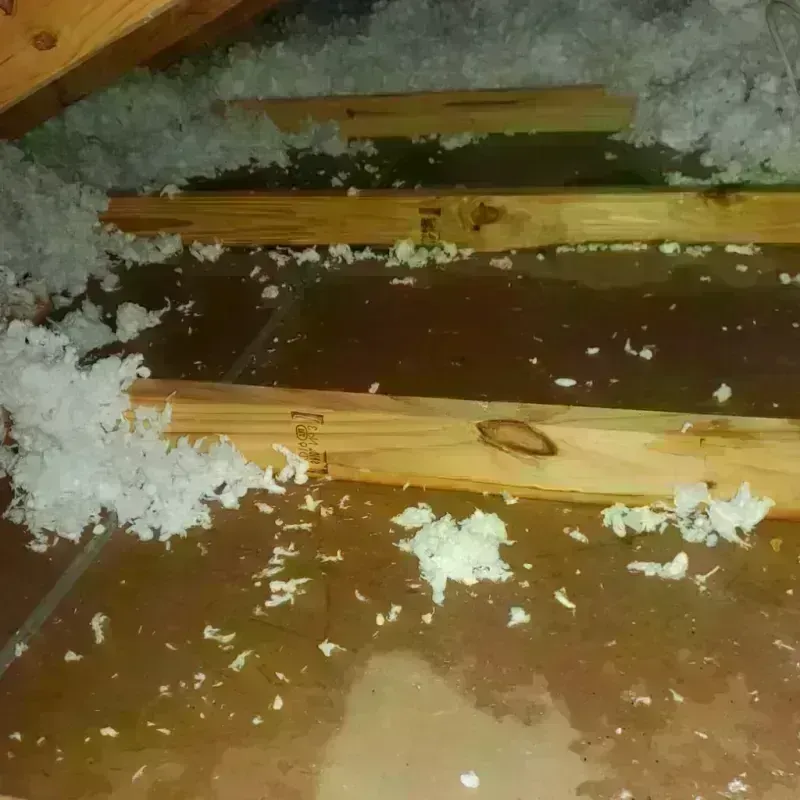 Attic Water Damage in Lewis County, WA