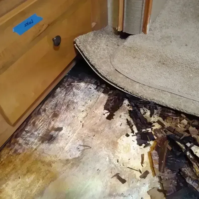 Wood Floor Water Damage in Lewis County, WA